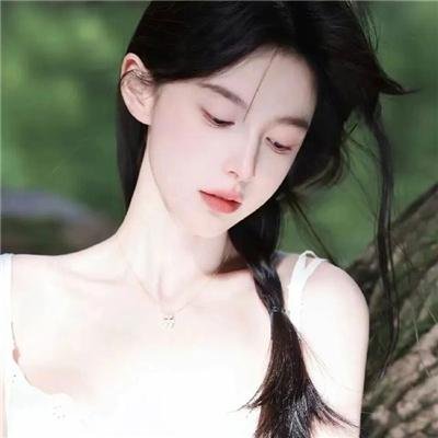 嘉庆皇帝封面