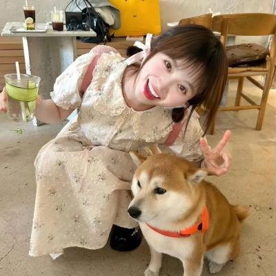 求求你，表扬我封面